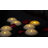 Unscented Flameless Floating Candle