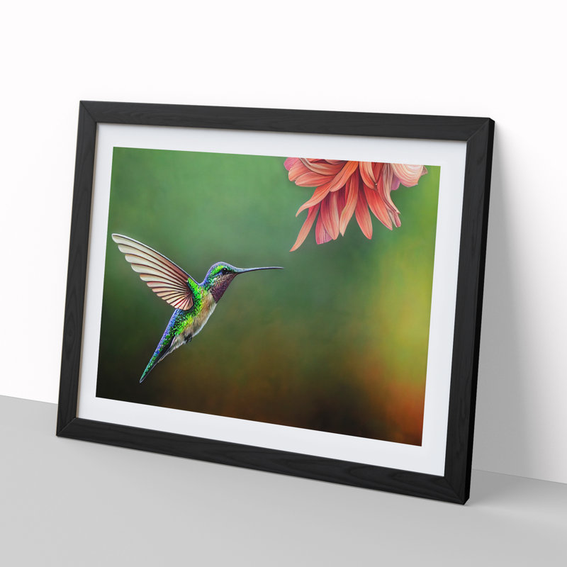 Floral Hummingbird Vol.4 - Single Picture Frame Painting, Black, 46cm H x 64cm W x 2cm D
