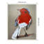 «Red Bird I» par Erin McGee Ferrell, reproduction d'art sur toile encadrée-839957160