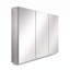 Surface and Recessed Medicine Cabinet-133230120