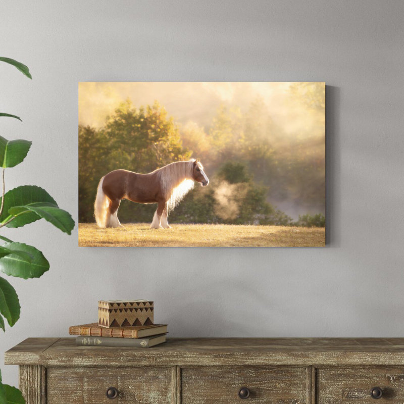 «Golden Lit Horse I» par PHBurchett - photographie sur toile tendue, H 24 po x l 36 po