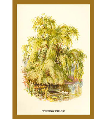 « the weeping willow » par w.h.j. boot art