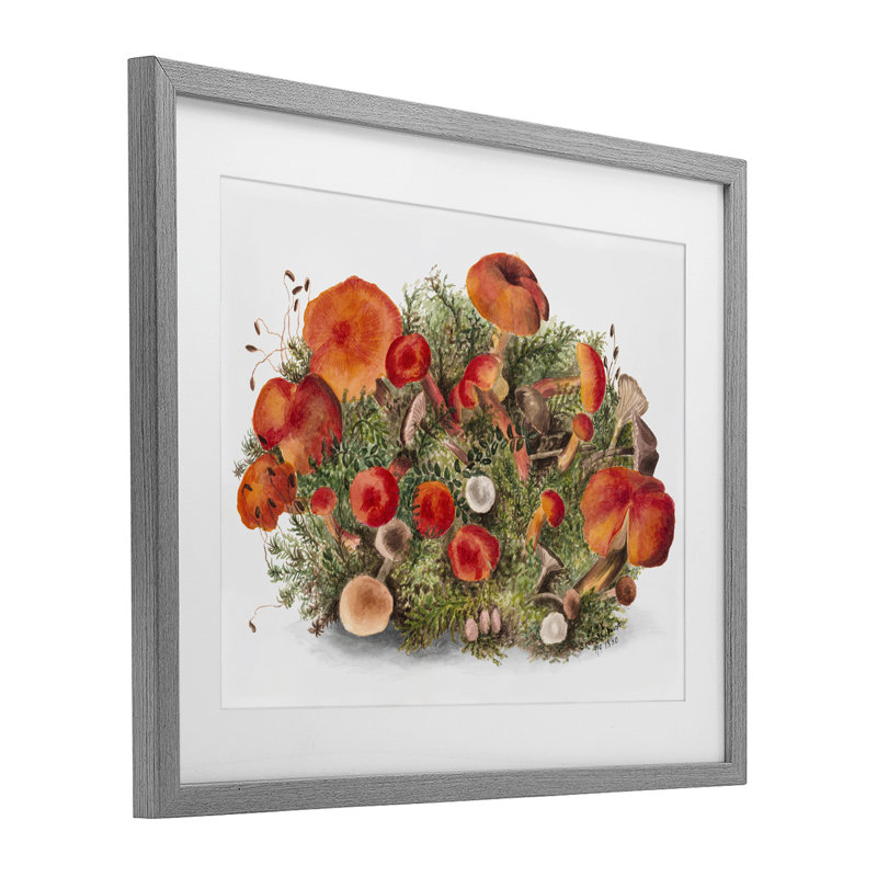 «Earthy Mushroom Caps Nature», reproduction encadrée sous verre, H 17 po x l 21 po, Cadre de ferme gris