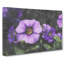 Poppy in a Meadow - Wrapped Canvas-61837276