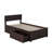 Daurice Solid Wood Platform Bed with Panel Footboard & Storage Drawers-364139124-352388108