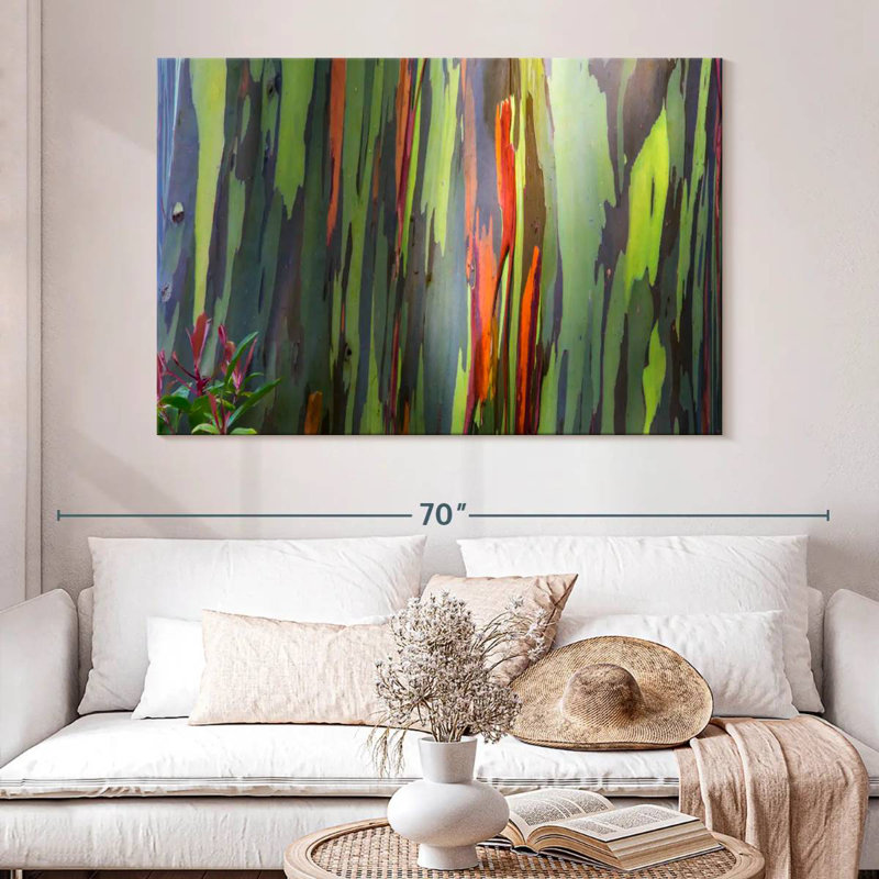 Harnek Rainbow Eucalyptus Bark, 34" H x 51" W