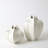 Star Fruit Vase-64402281