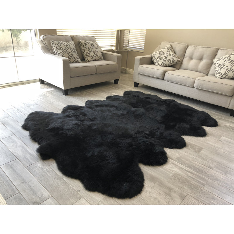 Tapis noir Wiesner, Nouveauté 6 pi x 10 pi