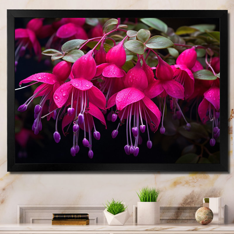 Fuchsia vivace, fleurs II, art mural floral, salon, H 24 po x l 32 po x P 1 po, Cadre simple noir