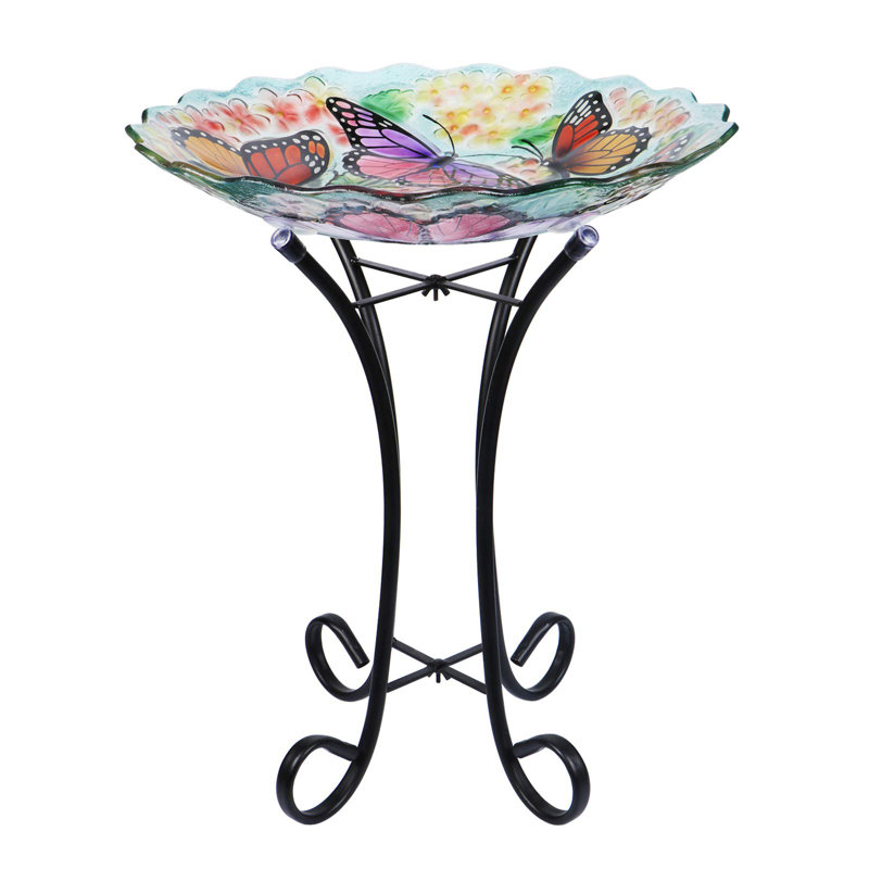 Bain d'oiseaux papillon Caenada