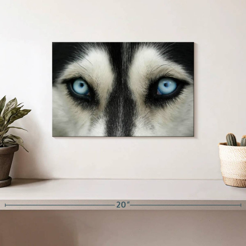 Brampt Sky Eyed Husky, 8" H x 12" W