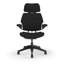 Freedom Headrest Ergonomic Task Chair - Autumn-1376687725