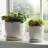 Stoneware And Ceramic Saucer Planters With Embossed Geometric Texture, Modern Decorative Design, Stylish Round Form, Versatile Display Accent, Set Of 2-1305415953