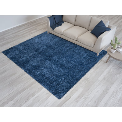 Jenitha Solid Colour Shag 80cm X 150cm Area Rug