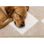 Tapis à carreaux crème et beige Shivaun-1554817043