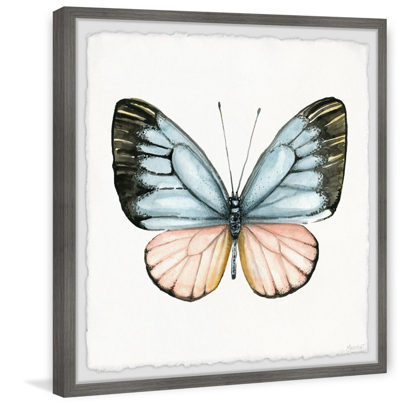 Tropical Butterfly - Single Picture Frame Painting, 30cm H x 30cm W x 3.81cm D