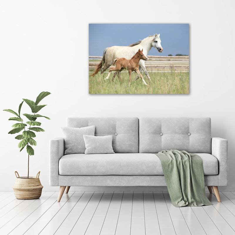 Mare With Foal - Wrapped Canvas Print