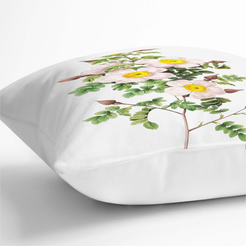 Burnet Rose In Pink Square Throw Cushion, 40cm H x 40cm W x 15cm D, White
