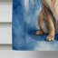 Drapeau Leonberger My Angel House