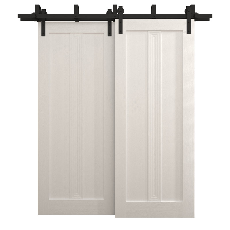 Portes coulissantes de grange coulissantes pour garde-robe | Ego 5006 | Ensemble de quincaillerie Modern Rails | Portes de garde-robe de chambre en bois massif