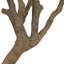 Faux Olive Tree Wide Faux Olive Tree Tree in Pot