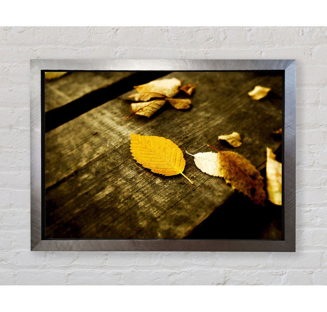 Herbstblätter auf der Terrasse - Druck