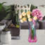 Danney Glass Floor Vase