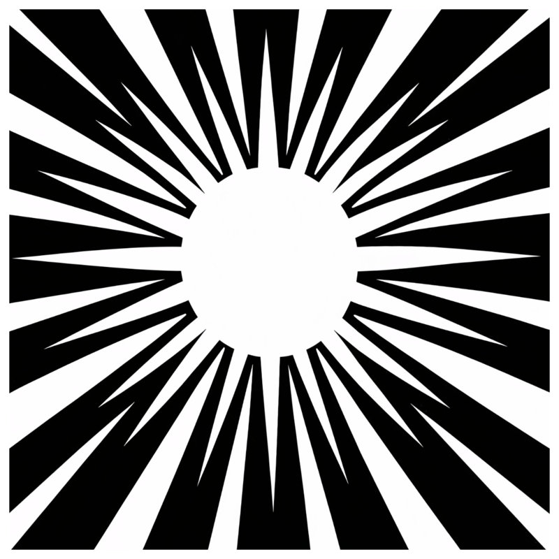 Édredon noir et blanc Starburst, King