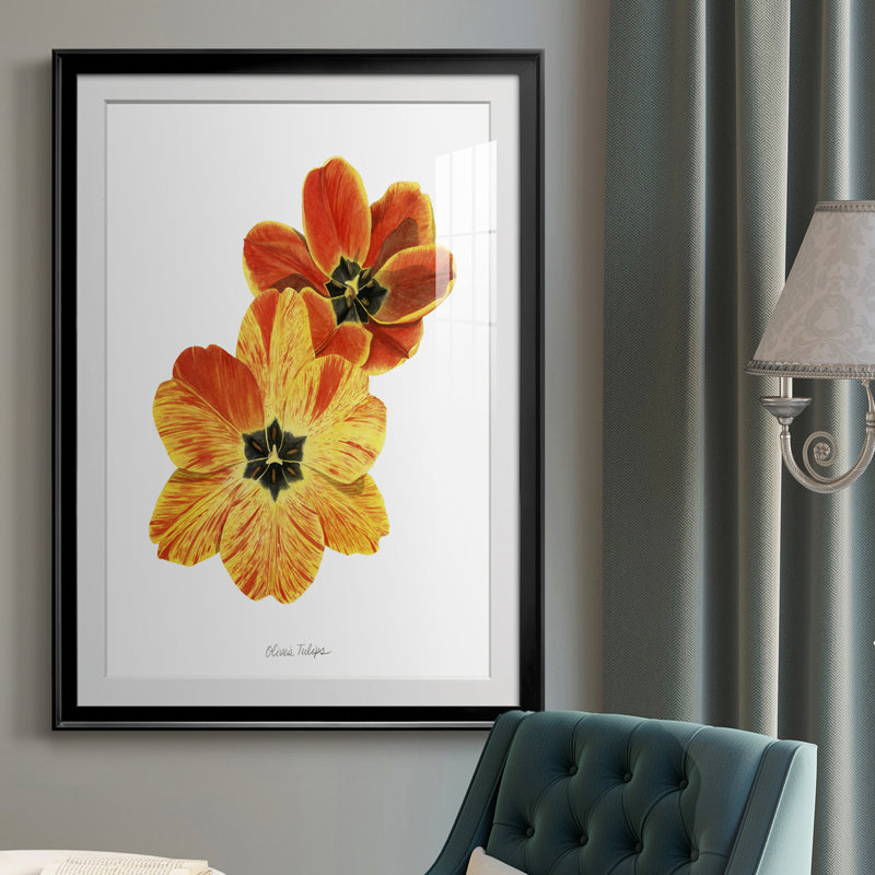 Olive's Tulips II, reproduction encadrée de qualité supérieure, prête à être accrochée, H 30,5 po x l 22,5 po x P 1 po, Noir