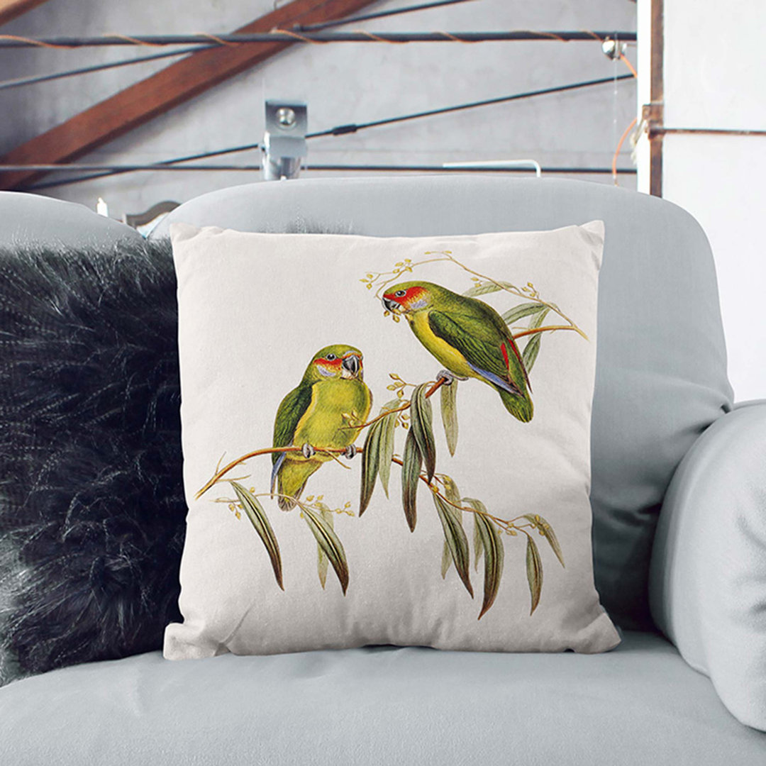 Coxen's Parakeets by Elizabeth Gould Cushion with Filling