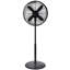 Zanussi 125cm Oscillating Accent Fan