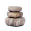 Petrified Wood Organic Sculpture-436953486