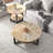 Frame Coffee Table with Storage-738104761