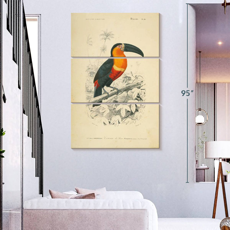 Brampton Toucan Du Para, H 74 po x l 48 po