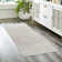 Miesner Dario Modern Striped Gray Polyester High-Low Indoor Area Rug