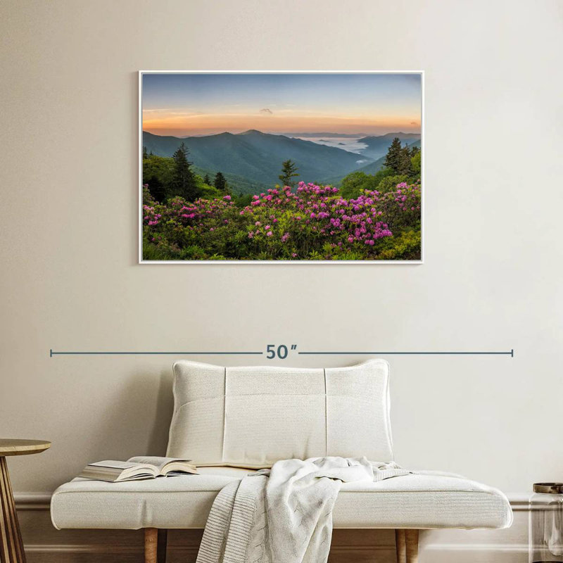 Blue Ridge Mountains View, Cadre flottant blanc, 37 po x 25 po