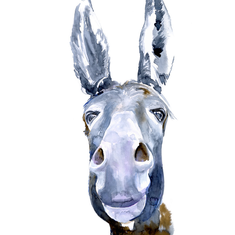 Sweet Donkey I, H 30 po x l 20 po x P 1,25 po