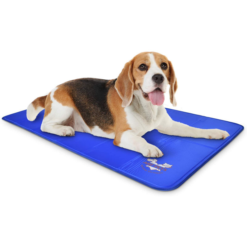 Large Blue Nylon Self-Cooling Dog Mat