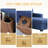 L-Shaped Convertible Sofa Bed-1361357724