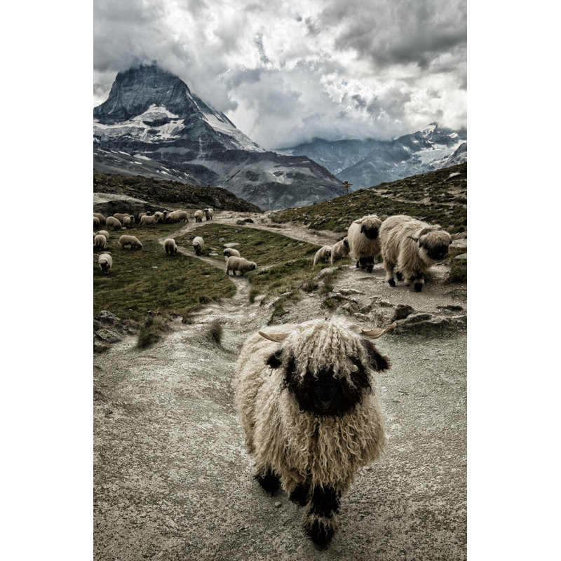 Wrapped Canvas Print, 121.92 cm H x 81.28 cm W