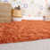 Anastyn Solid Colour Shag Area Rug