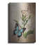 «Butterfly Botanical II» par Debra Van Swearingen-1541134891