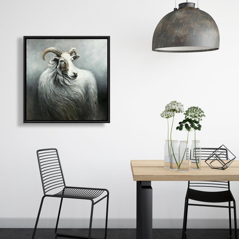 " Cashmere Goat "