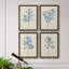 Verditer Fig I - ensemble de 4 reproductions d'art sur toile encadrées-278428341-278428336