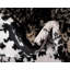 Tapis oriental blanc / noir Ortilio-1619522570-1679682310