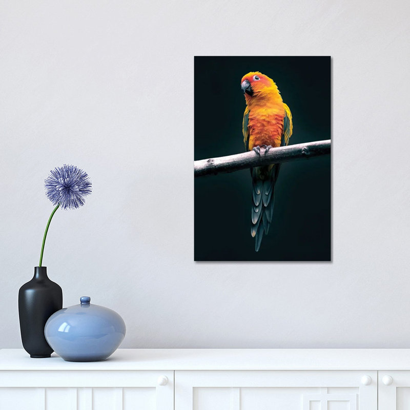 Parrot 1 Piece Wrapped Canvas Wall Art