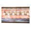Rustic Lodge 6 - Light Pendant