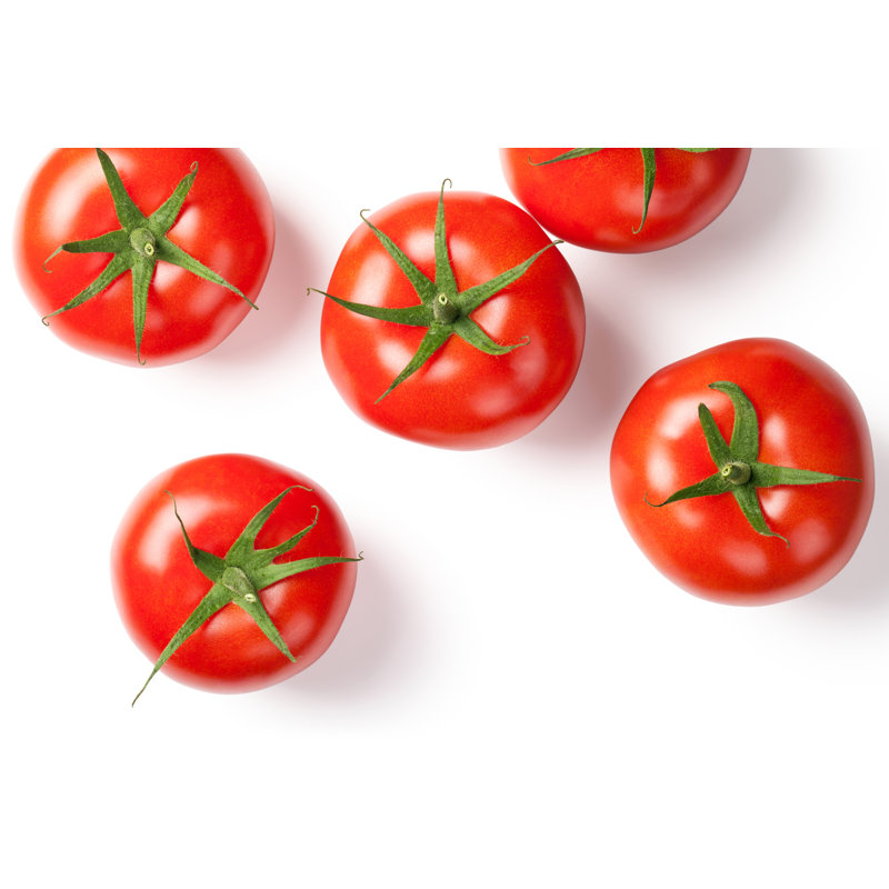 Tomates fraîches. - Photographie sur toile tendue, H 8 po x l 12 po