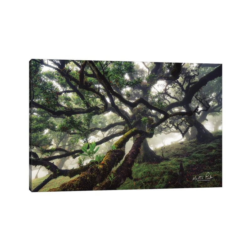 Tentacles by Martin Podt - Wrapped Canvas Print, 30.48 cm H x 45.72 cm W