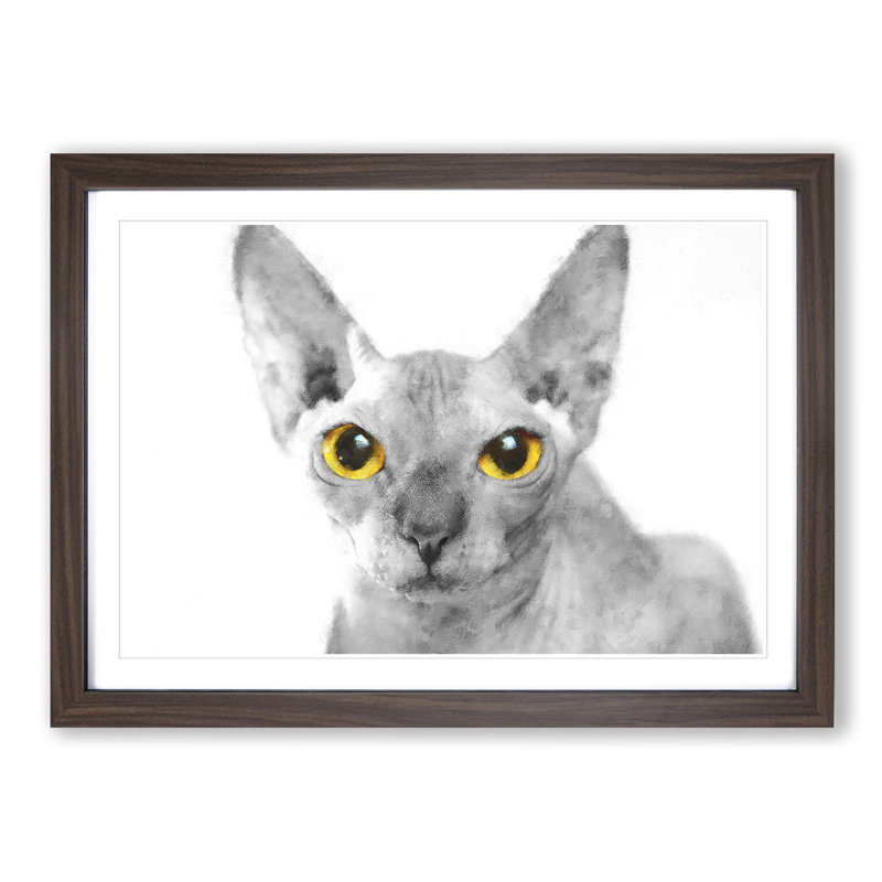 Sphynx Cat with Amber Eyes - Picture Frame Painting Print, 45cm H x 63cm W x 2cm D, Walnut Framed